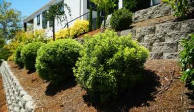 Fire Department urges residents to prepare their property for wildfire season