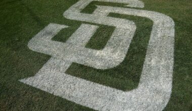 Padres minor league catching coordinator detained by ICE