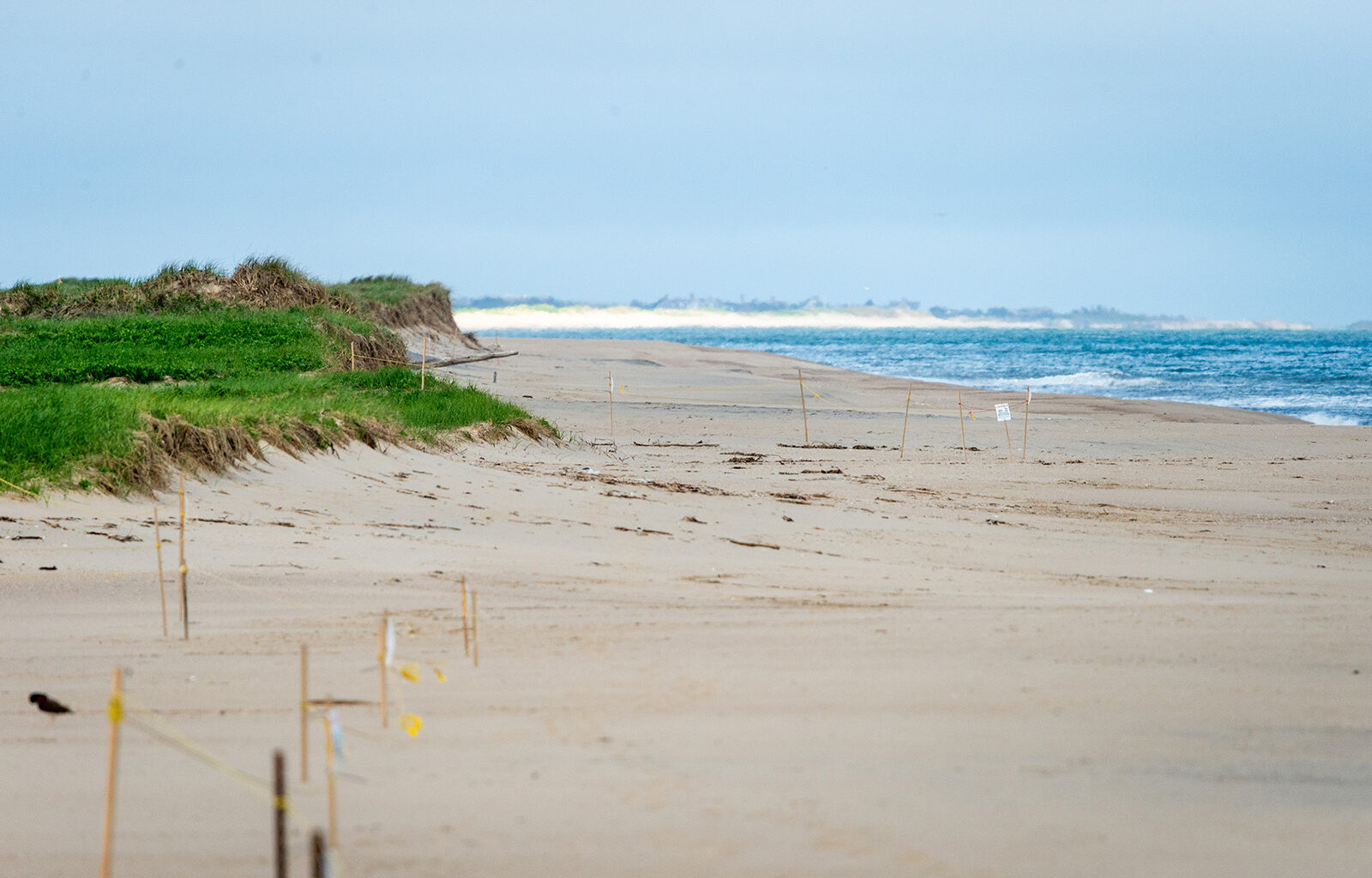 The Vineyard Gazette - Martha's Vineyard News