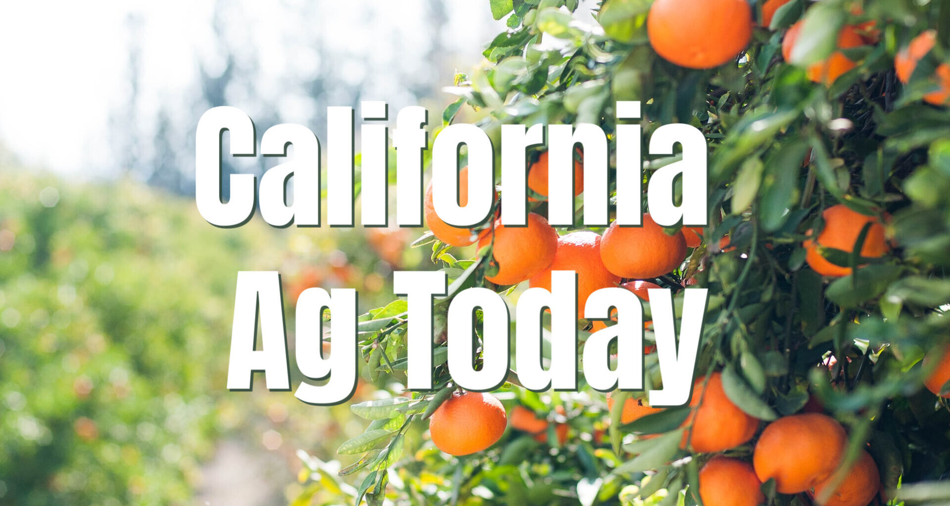 California PFAS Pesticide Bill Won