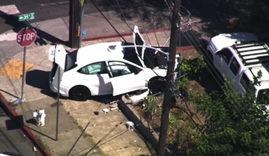 Child driving car strikes woman walking dog in Oakland's Laurel District