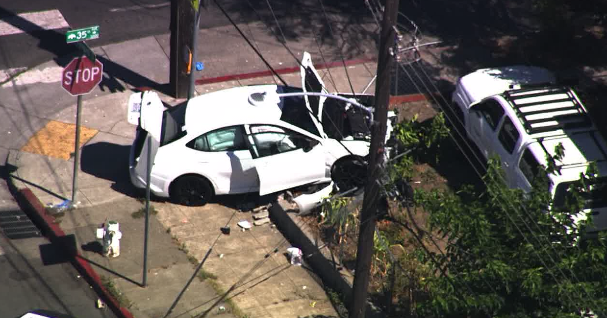 Child driving car strikes woman walking dog in Oakland's Laurel District