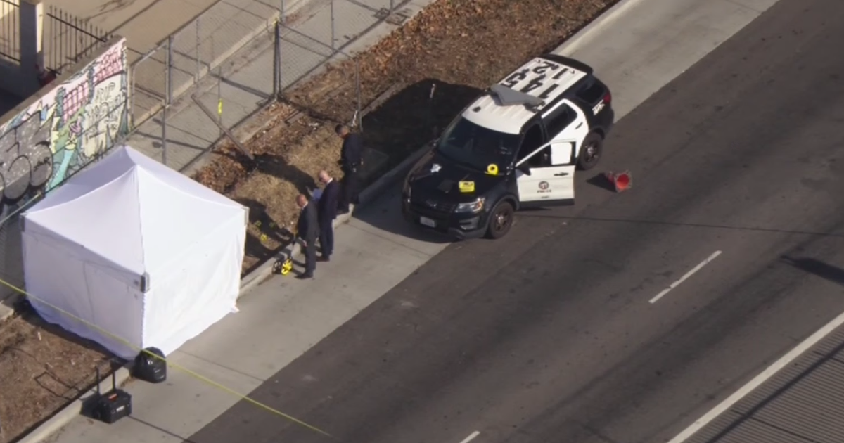 Gang intervention activist fatally shot in South Los Angeles