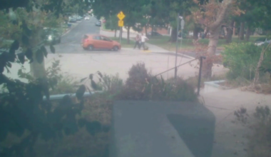 Los Angeles couple says driver tried to run them over while they were walking their dog