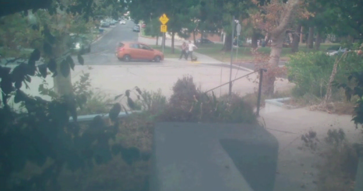Los Angeles couple says driver tried to run them over while they were walking their dog