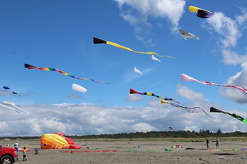 People celebrating the International Kite Festival in Westport, Washington.