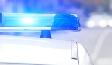 38 Horses Seized From Oakland County Trail Ride Company, Home: Officials