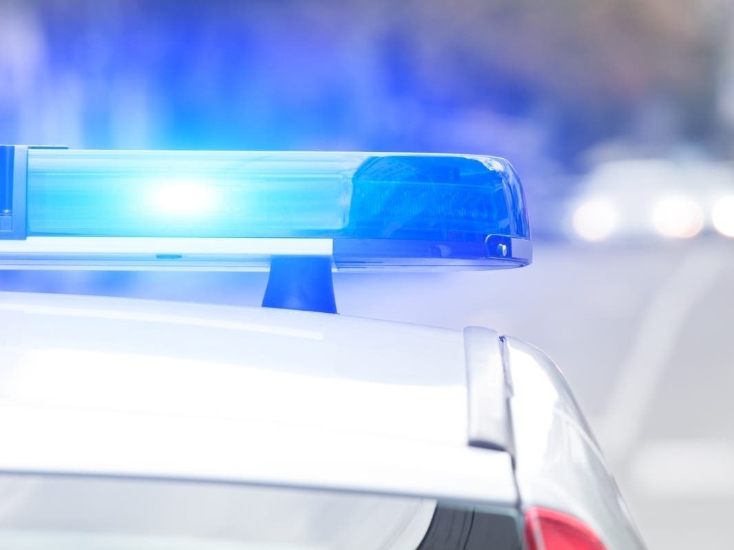 38 Horses Seized From Oakland County Trail Ride Company, Home: Officials