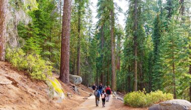 The Best National Parks Near Los Angeles
