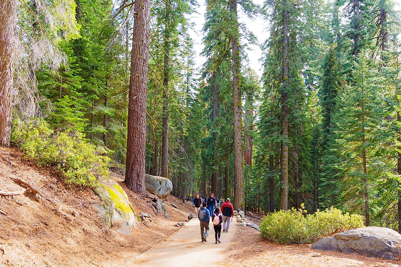 The Best National Parks Near Los Angeles