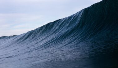 Community Rallies Around OC Dad Critically Injured Trying To Save Child Caught Struggling In Heavy Surf