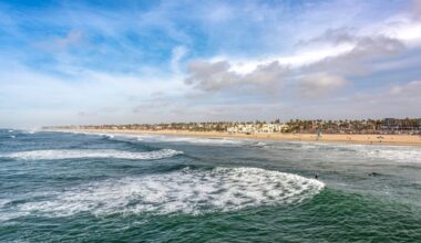 Meet California’s New Shark-Hunting Robot