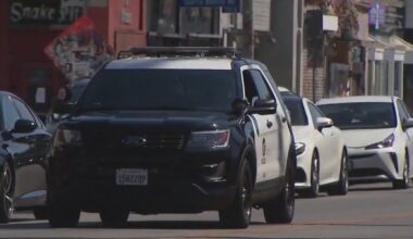 LAPD releases video footage of two separate in-custody deaths amid mayor's review order