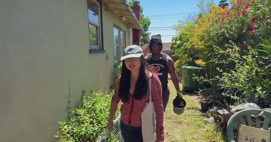 Young people work to preserve native butterfly habitat amid clean energy project at UC Berkeley