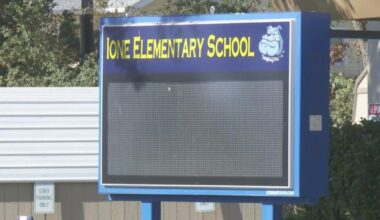 Ione Elementary works to get flea problem under control