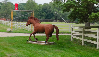Owner of 37 horses seized in Milford files motion to have them returned by Oakland County