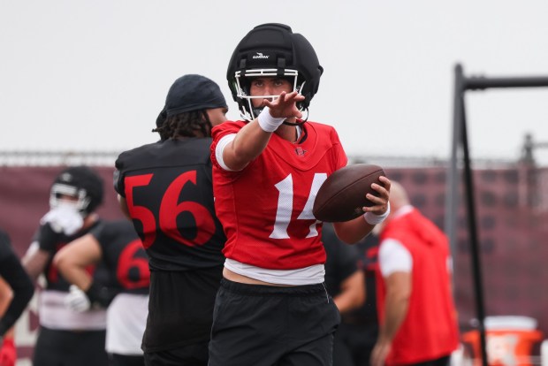 Brady Campbell is the newest member of the SDSU quarterbacks room. (Kristian Carreon / The San Diego Union-Tribune)