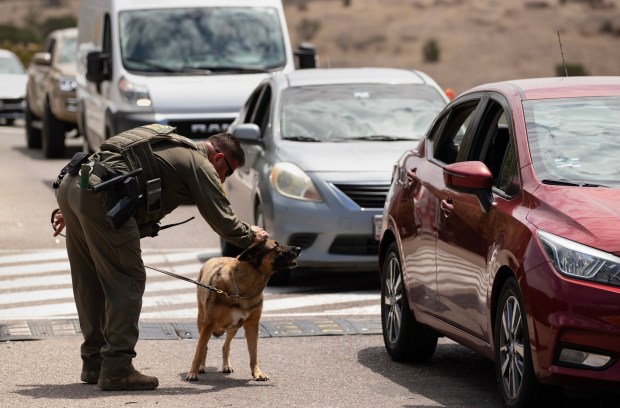 Jamul, CA - A US Border Patrol officer with detection dog Anna patrol vehicles at the Highway 94 United States Border Patrol Checkpoint on Friday, July 17, 2026, in Jamul, CA. (Luke Johnson / The San Diego Union-Tribune)