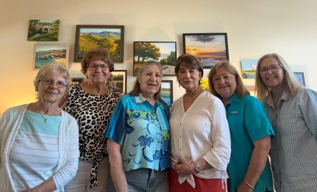 North County Society of Fine Arts 