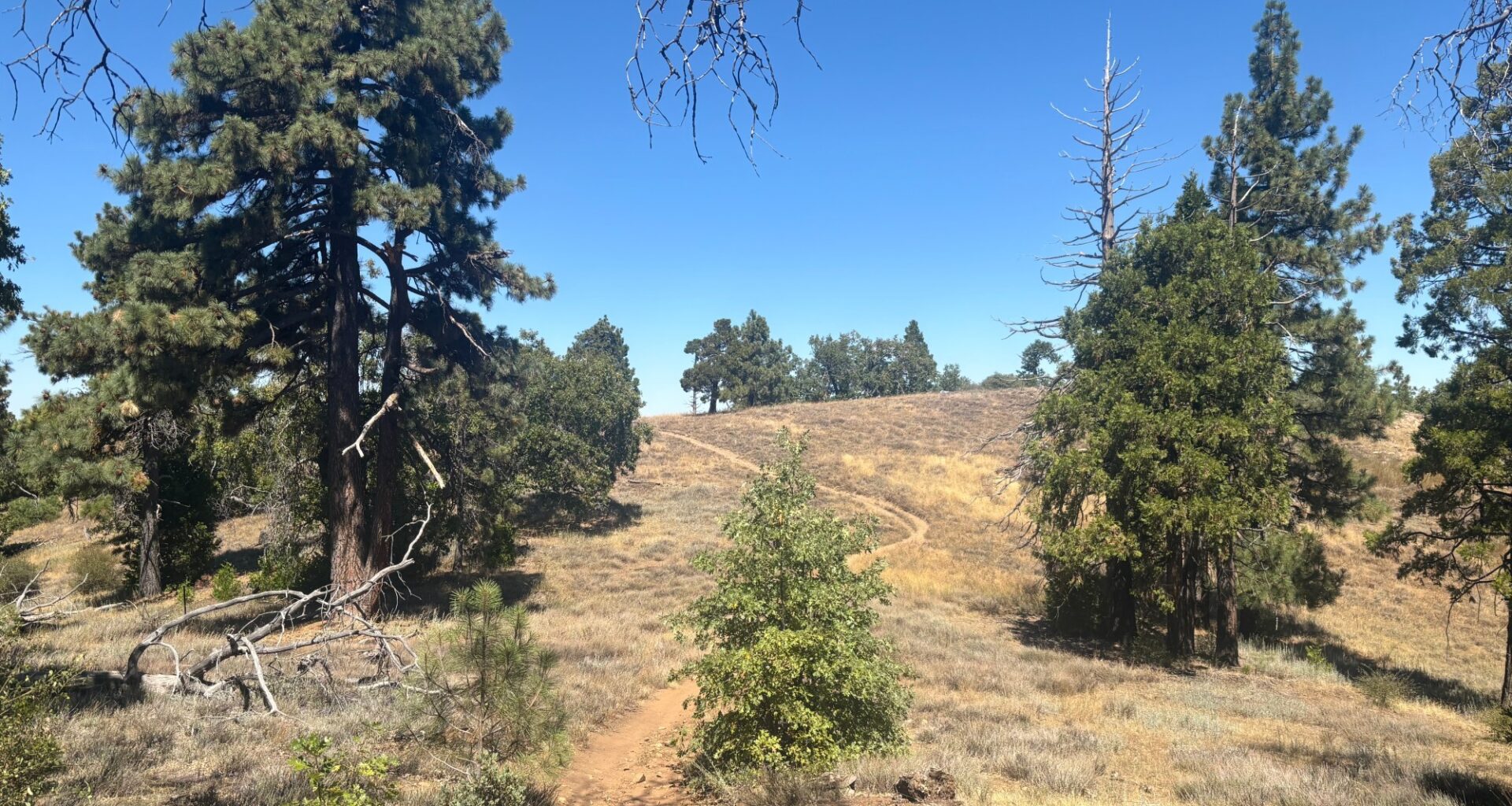 Hike of the week: 5 of my favorite hikes in San Diego County – San Diego Union-Tribune