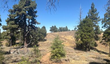 Hike of the week: 5 of my favorite hikes in San Diego County – San Diego Union-Tribune