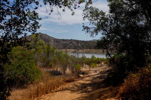 Lake Hodges on seen on Friday, Aug. 7, 2026 in Escondido. (Meg McLaughlin / The San Diego Union-Tribune)
