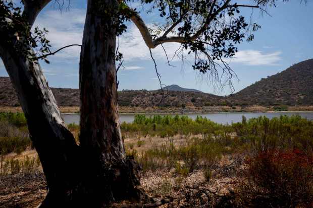 Lake Hodges on seen on Friday, Aug. 7, 2026 in Escondido. (Meg McLaughlin / The San Diego Union-Tribune)