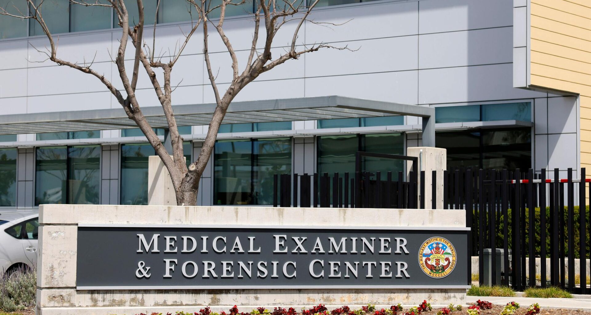 Seven people who died in separate crashes in San Diego County identified