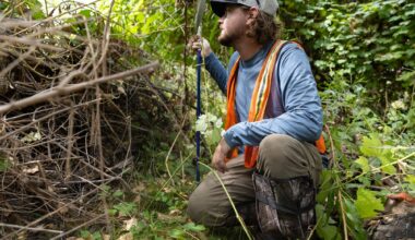 ‘You see one snake, and it makes it worth it’: Why SDSU students are tracking down rattlesnakes in Mission Trails – San Diego Union-Tribune