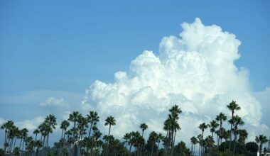 San Diego should expect 'another hot and muggy week': NWS