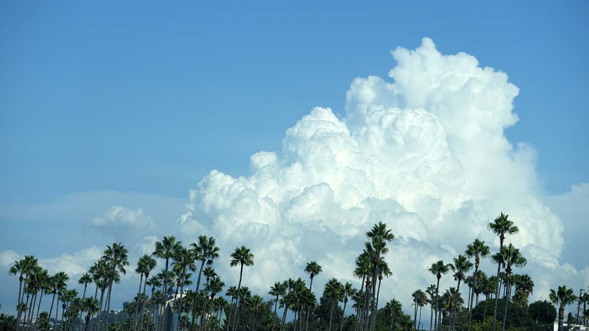 San Diego should expect 'another hot and muggy week': NWS