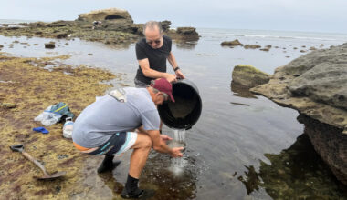 Scientists Are Building a 'Noah’s Ark' of California’s Tide Pools
