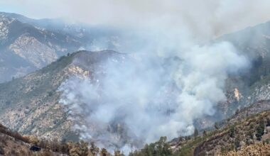 Containment grows on Timber Fire in California's Big Sur as firefight approaches 3rd week