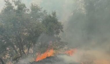Timber Fire in California's Big Sur grows to 2,000 acres; evacuations, park closures in effect