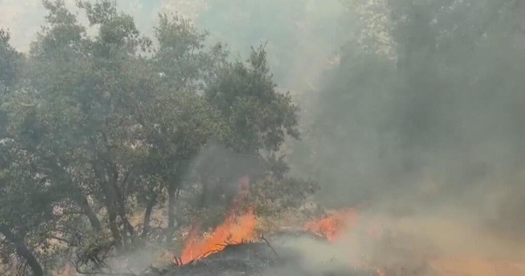 Timber Fire in California's Big Sur grows to 2,000 acres; evacuations, park closures in effect