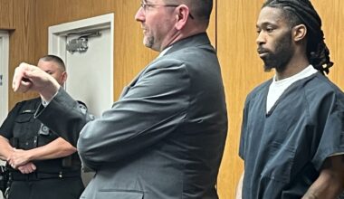 Detroit man sentenced for fleeing from cops, killing Oakland County grandmother – Macomb Daily