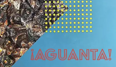 Opening Reception: ¡AGUANTA! | Discover Los Angeles