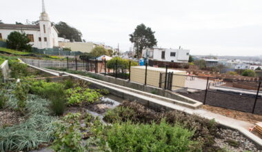 San Francisco’s Rain Gardens Mean Fewer Chemicals in the Bay