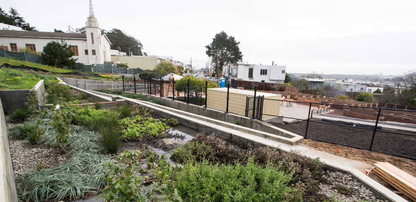 San Francisco’s Rain Gardens Mean Fewer Chemicals in the Bay
