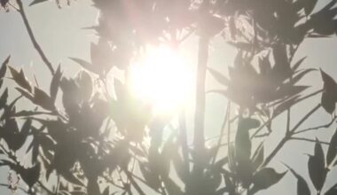 PG&E prepares for Kern County to face another week of extreme heat