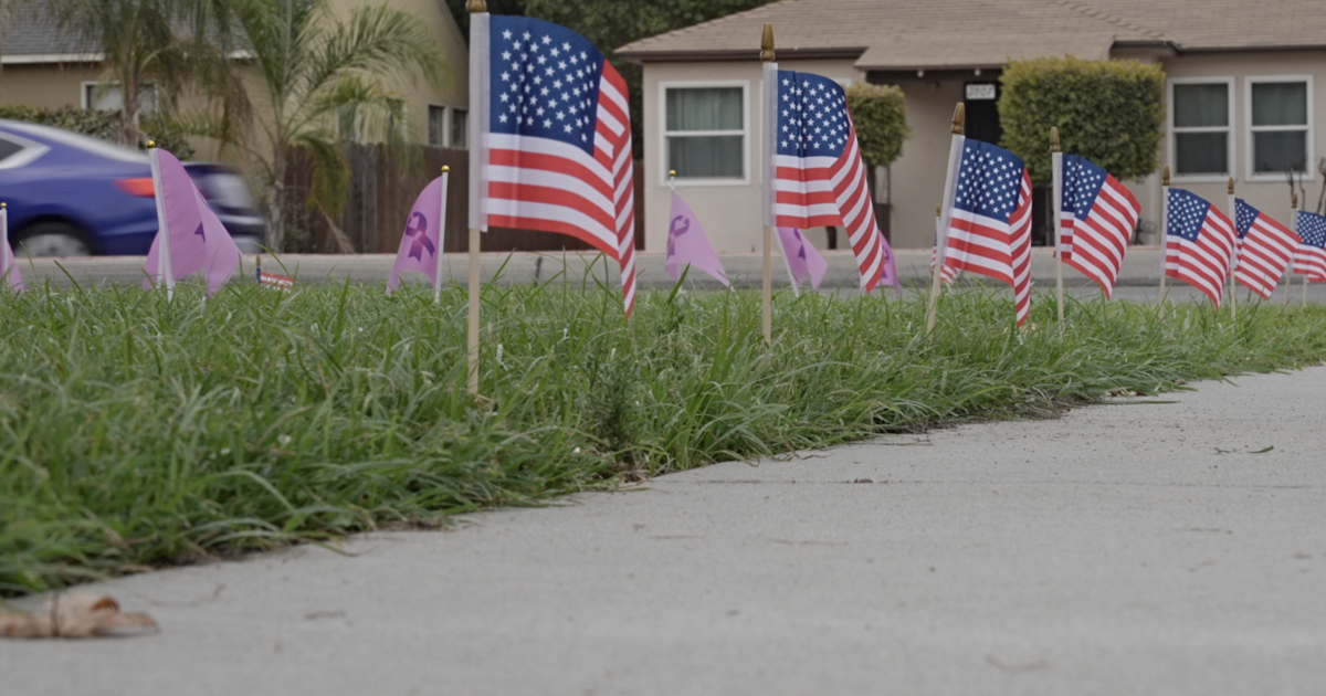 152 Flags, 152 Lives: Kern County families remember those lost to fentanyl