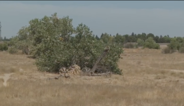 Bakersfield residents demand trees, cleaner air