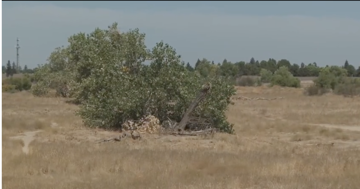 Bakersfield residents demand trees, cleaner air