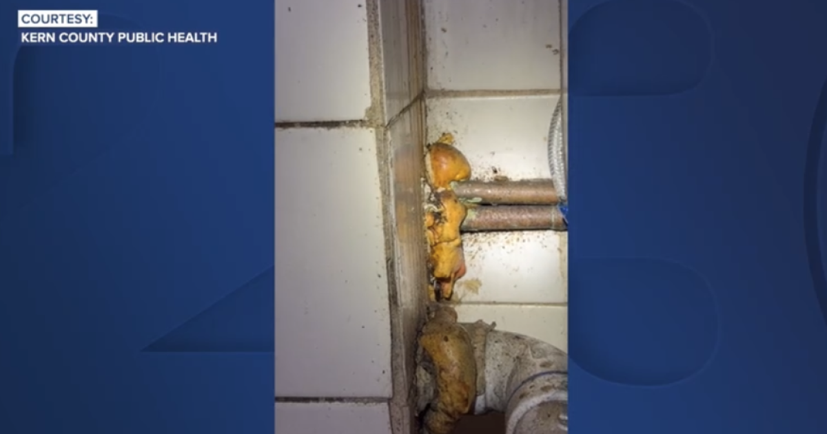 Rrestaurant closed after health inspectors find severe cockroach infestation