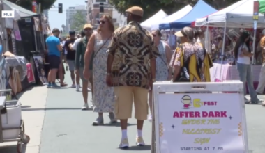 City Fest expected to bring economic boost to Hillcrest businesses
