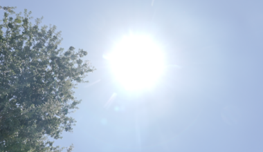 Drink water and stay in the shade. What else should you know?