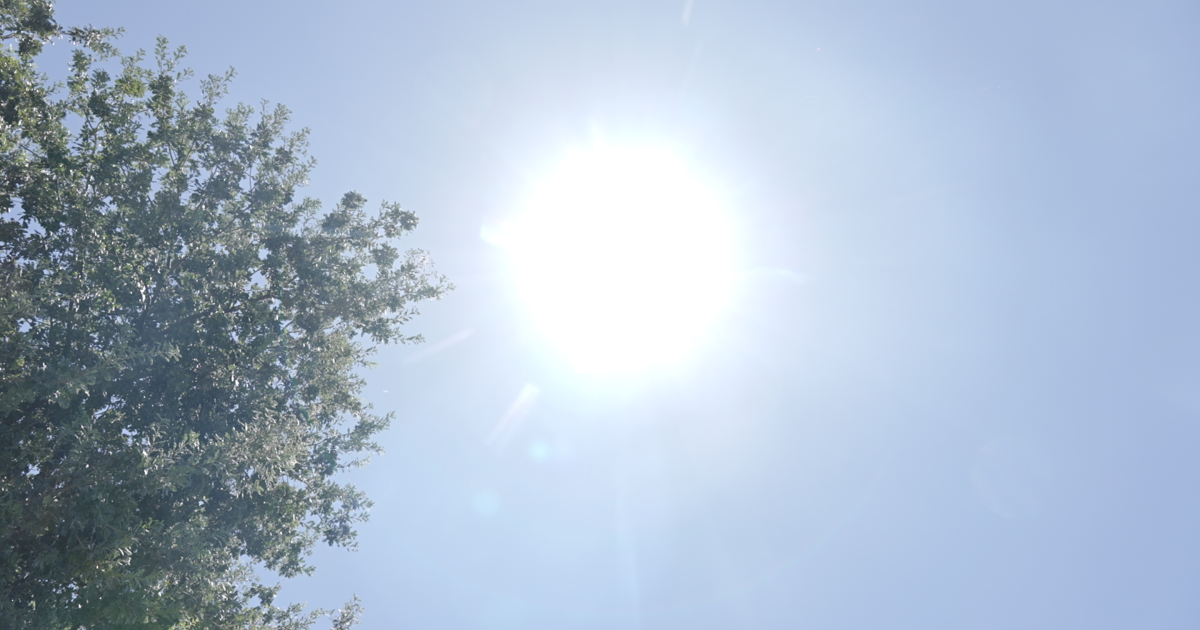 Drink water and stay in the shade. What else should you know?