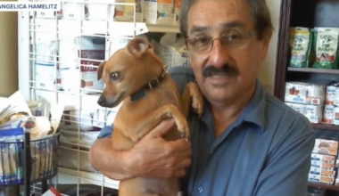 Family of man killed on daily walk in Chula Vista seeks answers one month later