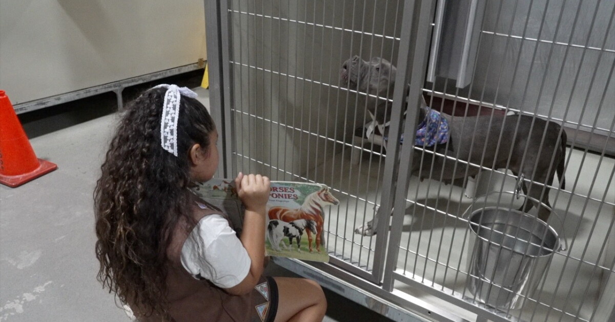 Kids read to shelter animals in 'Tales for Tails' program