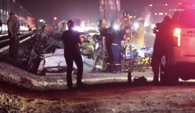Wrong-way Hwy 99 driver kills three people